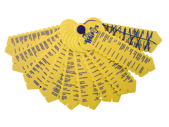 Life Science – Learning Wrap-ups