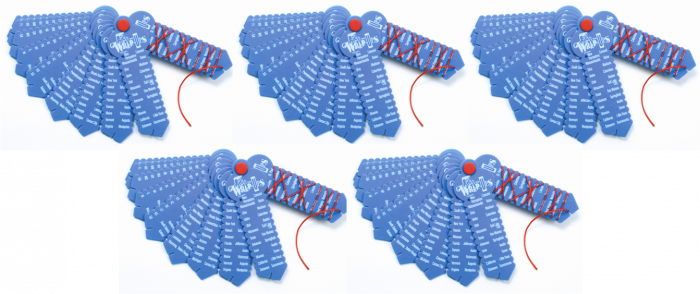 States & Capitals 5-Pack